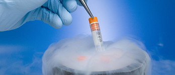 Криоперенос эмбрионов со скидкой 10%